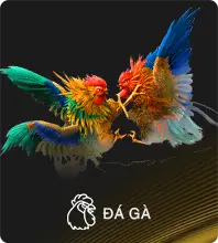 da ga 88vbet 7